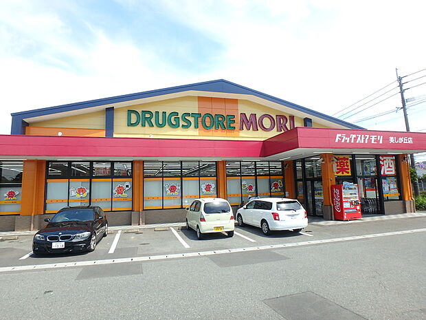 ドラッグストアモリ美しが丘店（約1,444m・徒歩19分）