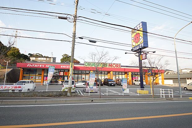 ドラッグストアモリ月隈店（約2,200m・徒歩28分）