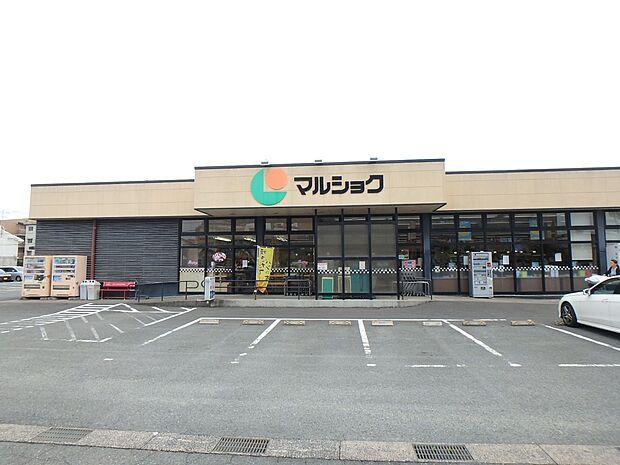 マルショク三苫店（約850m・徒歩11分）