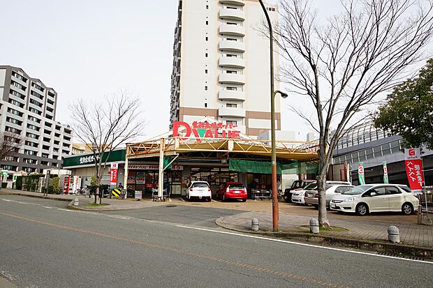 ダイキョーバリュー野多目店(約699m・徒歩9分)