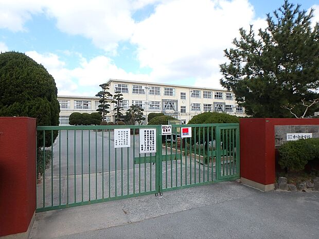 福岡市立和白中学校（約350m・徒歩5分）