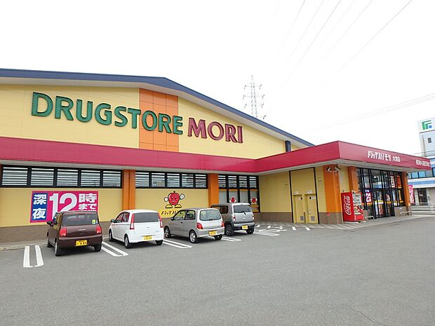ドラッグストアモリ大池店（約1,000m・徒歩13分）