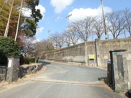 太宰府市立太宰府中学校 1500m(19分)