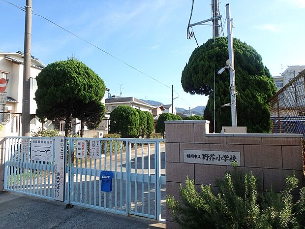 福岡市立野芥小学校(約900m・徒歩12分)
