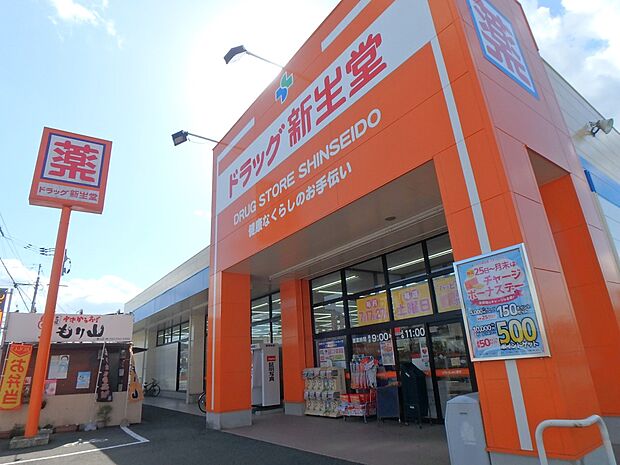 ドラッグ新生堂昇町店（約600m・徒歩8分）