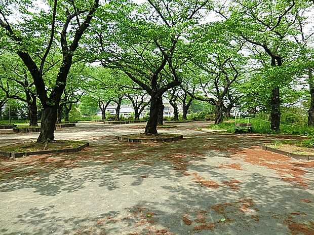 「幸ヶ谷公園」まで徒歩4分（約250ｍ）春には公園全体が桜色に染まる美しい名所です。   園内からは電車の走る姿も望め、桜と鉄道の風景が重なる、どこか懐かしく心和む時間を楽しめる公園です。