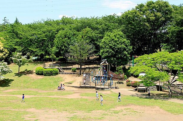 【岸根公園】横浜の市街地にありながら、豊かな自然を身近に感じられる岸根公園。広々とした開放感は、このエリアで暮らす最大の魅力の一つです。