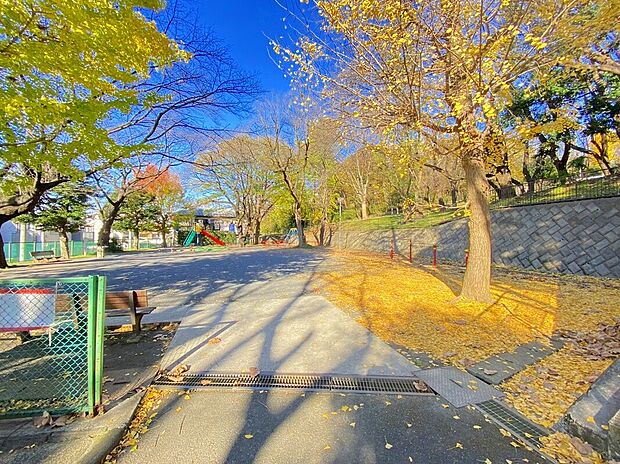「三ツ沢公園」まで徒歩10分 園内には陸上競技場やテニスコート、球技場など多彩な施設が整い、散策や健康づくりにもおすすめ。日々のウォーキングやリフレッシュはもちろん、季節の自然を身近に感じられます。
