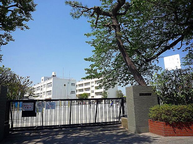 横浜市立旭小学校(約500m)