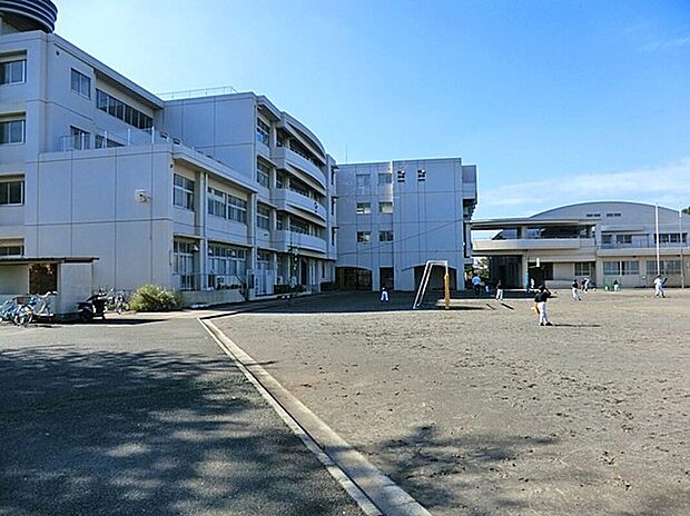 下田小学校(約700m)
