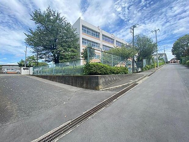 川崎市立平小学校(約400m)