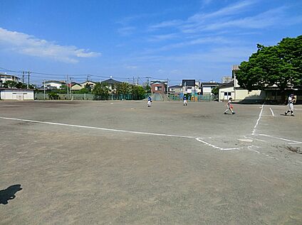 川崎市立苅宿小学校 500m