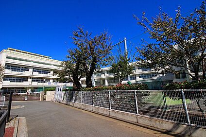 横浜市立錦台中学校 700m