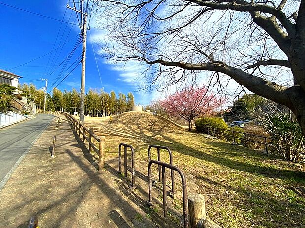新井町公園（約700m）