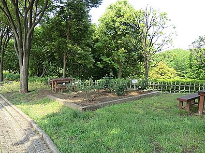 今川公園 400ｍ