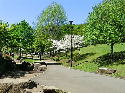 岸根公園 800ｍ