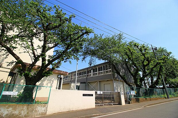 横浜市立高田小学校（約900m）