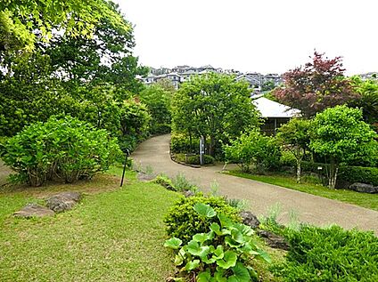 馬場花木園 750ｍ