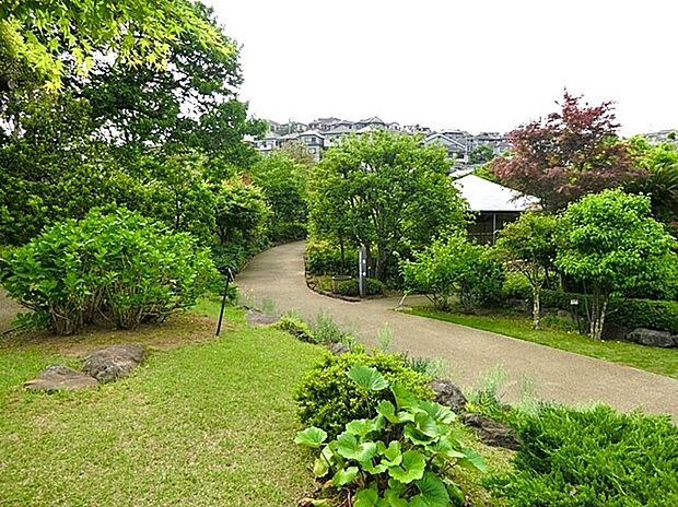 馬場花木園(約750m)