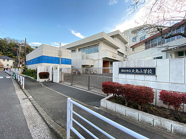 横浜市立大鳥小学校（約650m）