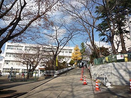 横浜市立菊名小学校 800m