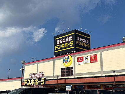 ドン・キホーテ 約1100ｍ(徒歩約14分)