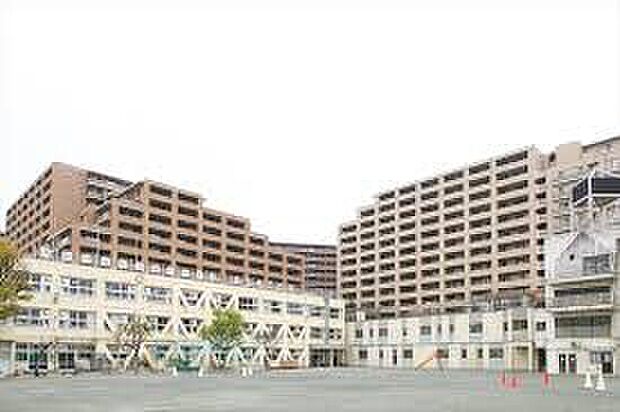 世田谷区立塚戸小学校(約832m)