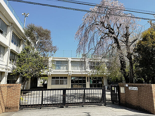 練馬区立立野小学校（約317m）