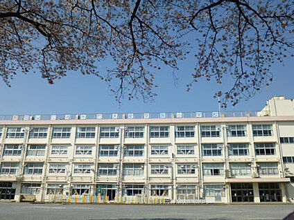 練馬区立大泉小学校 592ｍ(徒歩8分)