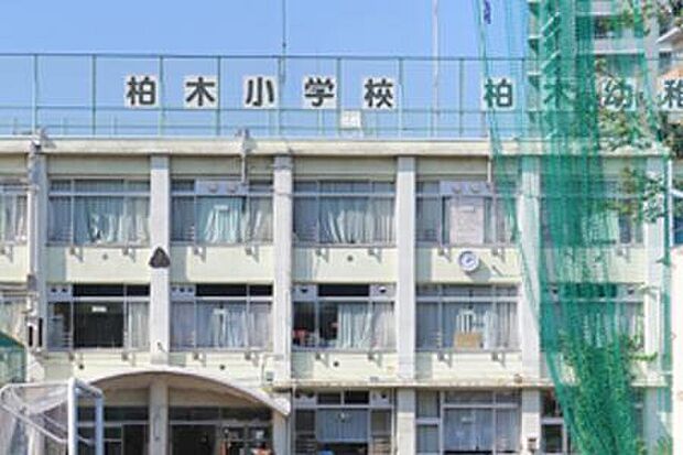 新宿区立柏木小学校（約77m）