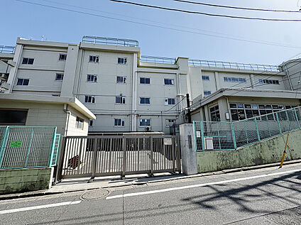 杉並区立荻窪中学校 795ｍ(徒歩10分)