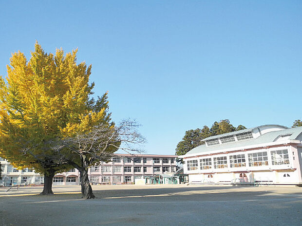 水戸市立河和田小学校（約350m）