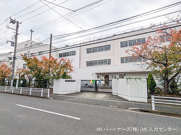 浦安市立南小学校(約250m)