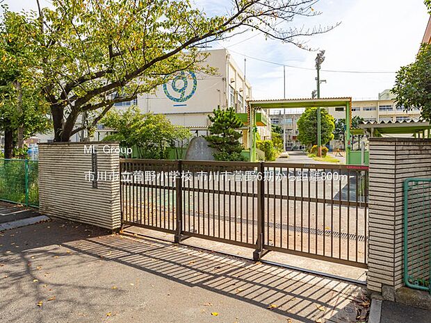 市川市立菅野小学校（約800m・徒歩10分）