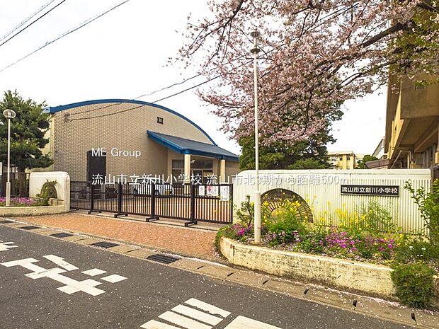 流山市立新川小学校(約500m)