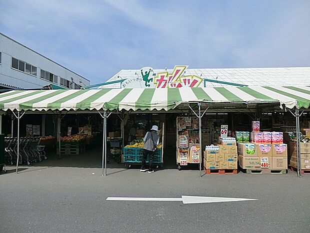 スーパーガッツ姉崎店(約700m)