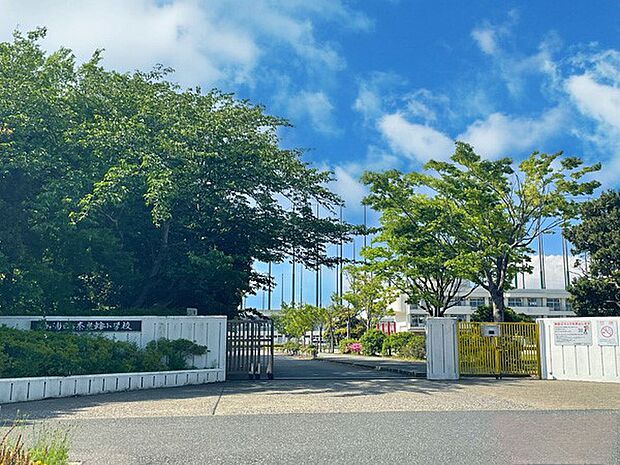 奈良輪小学校（約640m・徒歩8分）