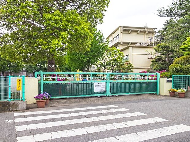柏市立柏第八小学校（約660m・徒歩9分）