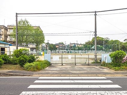 柏市立逆井中学校 1600m(20分)