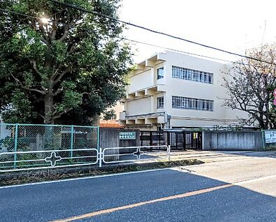 柏市立酒井根中学校 750m(10分)