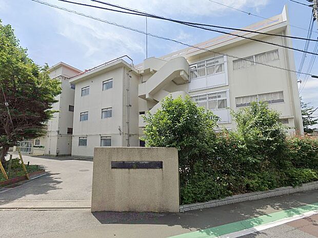 船橋市立八栄小学校(約500m)