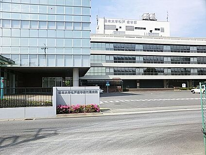 日本大学松戸歯学部付属病院 100m