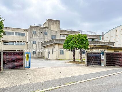 松戸市立貝の花小学校 490m(7分)