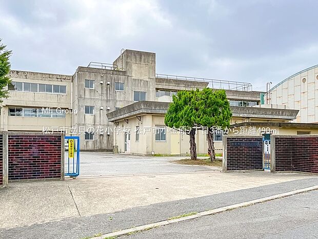 松戸市立貝の花小学校(約490m・徒歩7分)