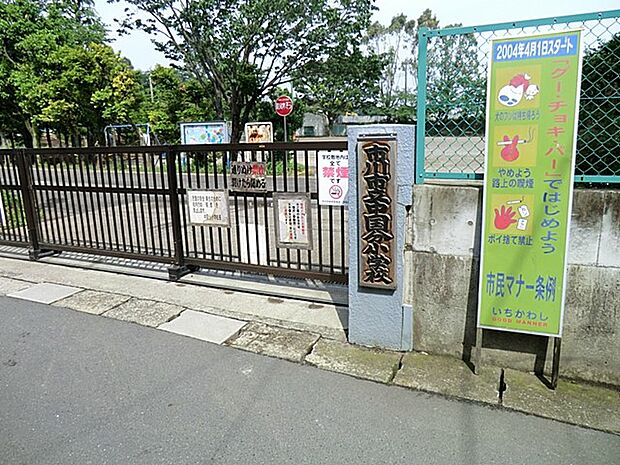 市川市立中国分小学校（約700m）