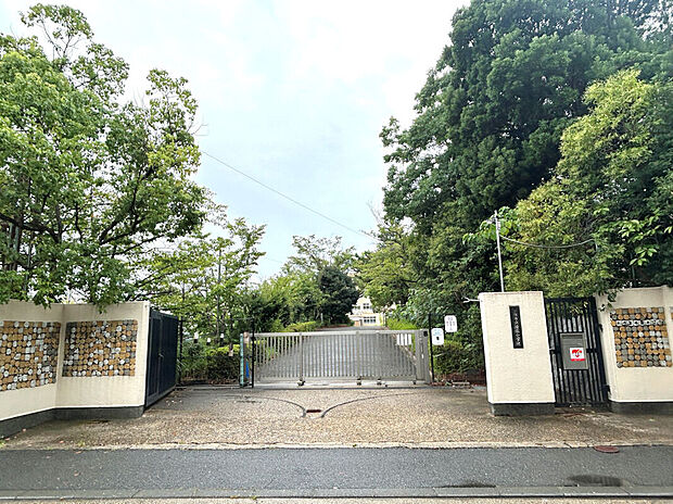 京都市立新林小学校（約480m）