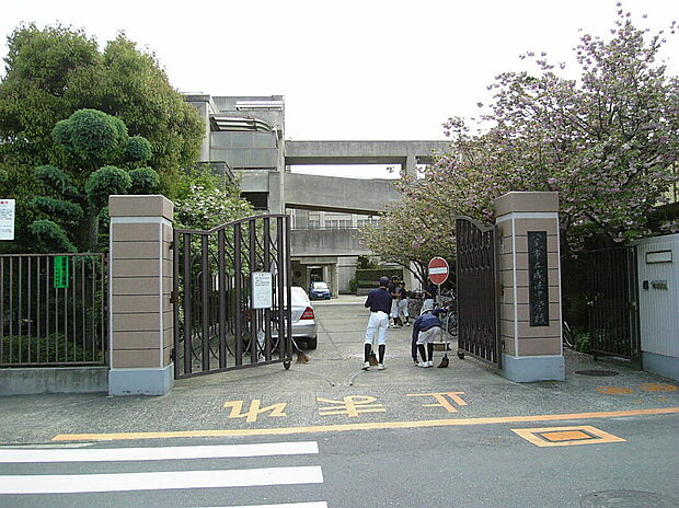 八尾市立成法中学校（約900m）
