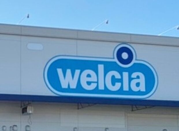 ウエルシア安城東栄町店(約1,240m)