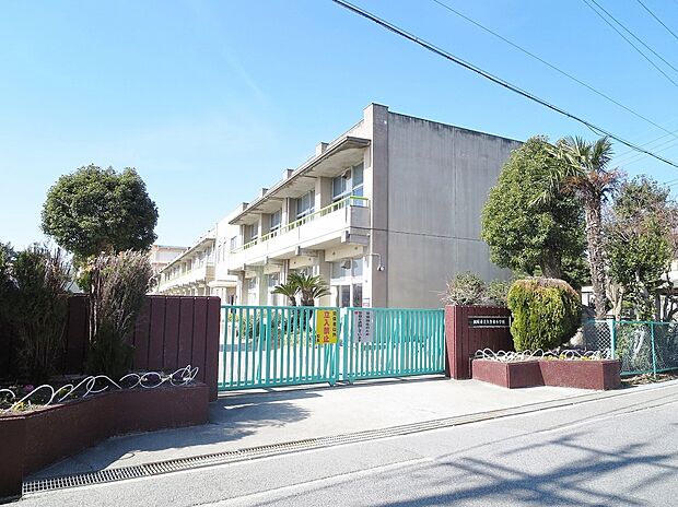 岡崎市立矢作東小学校（約800m）