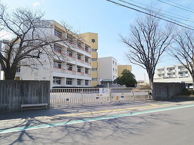 碧南市立中央中学校（約1,500m）